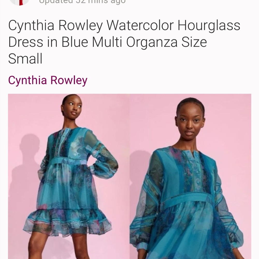 Cynthia Rowley Blue Multi Organza Dress